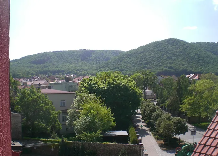 Nyaraló & Senftner *